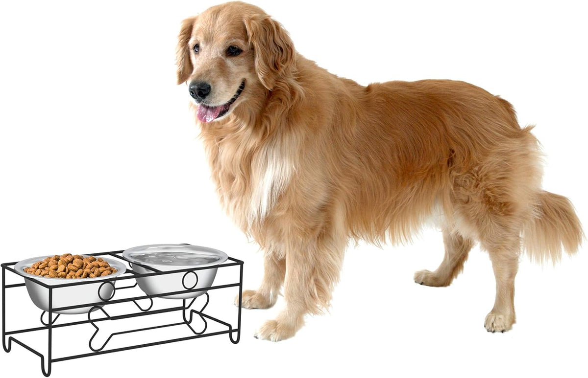 Set of 2 Stainless Steel Dog Bowls - 40Oz Pet Bowls with Decorative Dog Food Stand - Metal Food and Water Dishes for Large Pets - Puppy Essentials by  (Silver/Black)