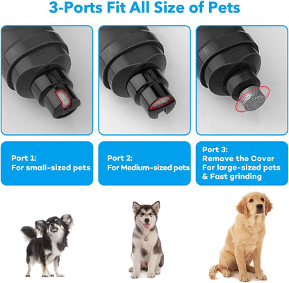 Dog Nail Grinder with Dual LED Lights - Advanced 2-Speed Electric Pet Nail Trimmer for Professional, Quiet, and Painless Grooming of Small, Medium, and Large Dogs and Cats (Grey)