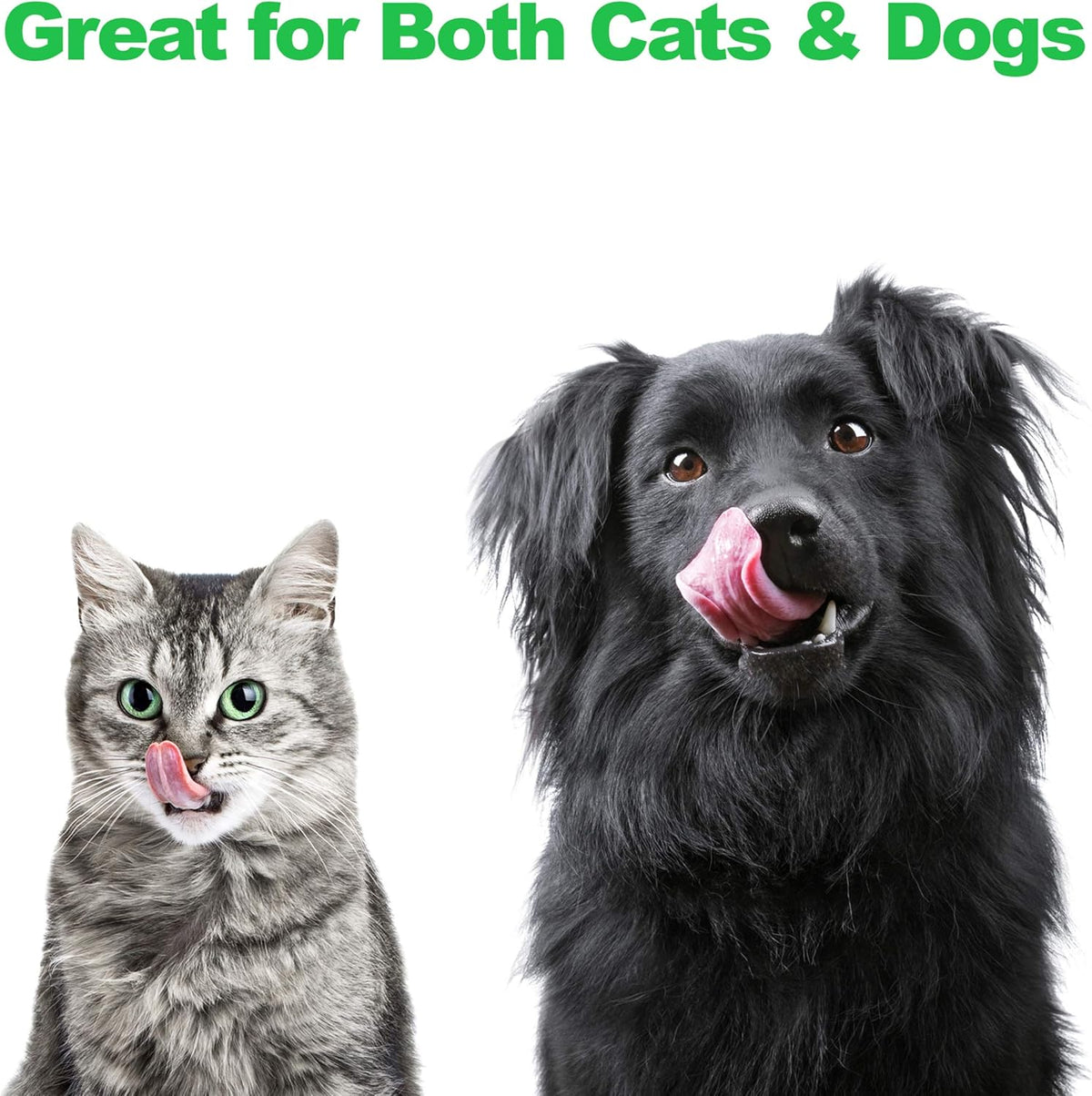 Set of 2 Stainless Steel Dog Bowls - 40Oz Pet Bowls with Decorative Dog Food Stand - Metal Food and Water Dishes for Large Pets - Puppy Essentials by  (Silver/Black)